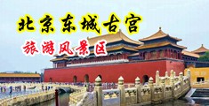 性感沧州女性骚逼疯狂插大鸡巴下载安装中国北京-东城古宫旅游风景区